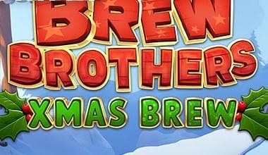 Brew Brothers Xmas Brew